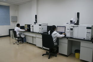 華科檢測技術服務積極捐資支持新中學建設，助力信息技術咨詢服務發展