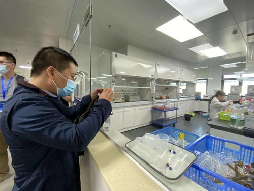 信息技術(shù)咨詢服務(wù)為‘六穩(wěn)六?！峁?qiáng)支撐，中國(guó)—東盟檢驗(yàn)檢測(cè)認(rèn)證高技術(shù)服務(wù)集聚區(qū)賦能企業(yè)騰飛